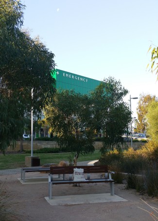 Garden at Fiona Stanley Hospital Perth